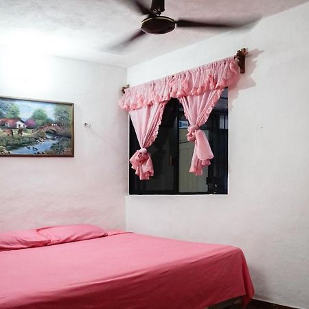 Hotel D'Concepcion تيسيمين المظهر الخارجي الصورة