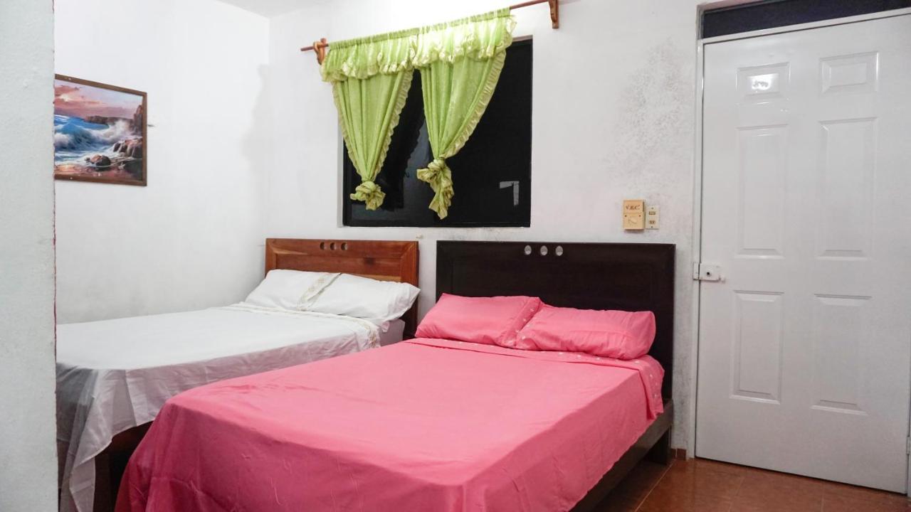 Hotel D'Concepcion تيسيمين المظهر الخارجي الصورة