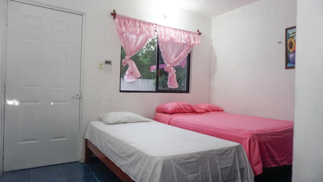 Hotel D'Concepcion تيسيمين المظهر الخارجي الصورة